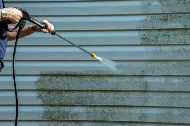 Best Roof Washing  in Espy, PA